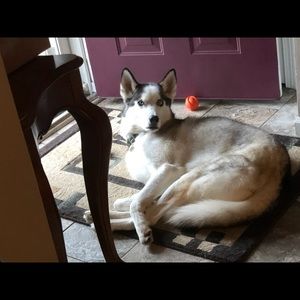 Meet your Posher, Karen